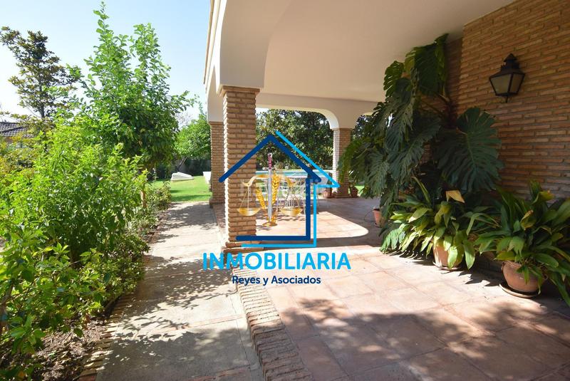 Foto 03a3157a-ba9a-46a9-bb28-c14c22a23c50. Chalet unico y exclusivo chalet en sansueña en El Brillante -El Naranjo - El Tablero Córdoba