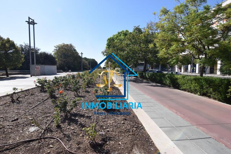 Foto b5e6d4f5-2aa4-4e6f-9e54-998273a0b44d. Pis a Santa Rosa - Valdeolleros Córdoba