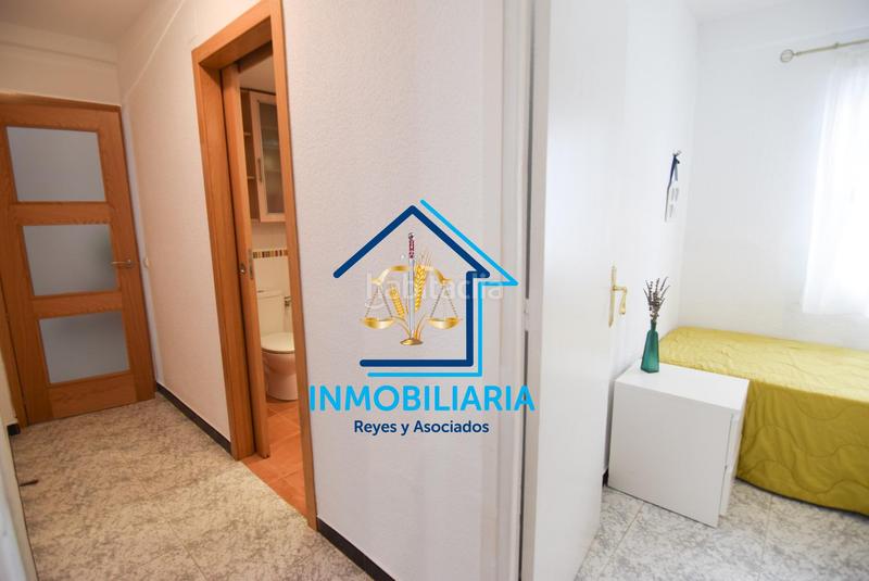 Foto bc8c71f4-1ea5-438a-9f96-125f05798529. Pis a Santa Rosa - Valdeolleros Córdoba