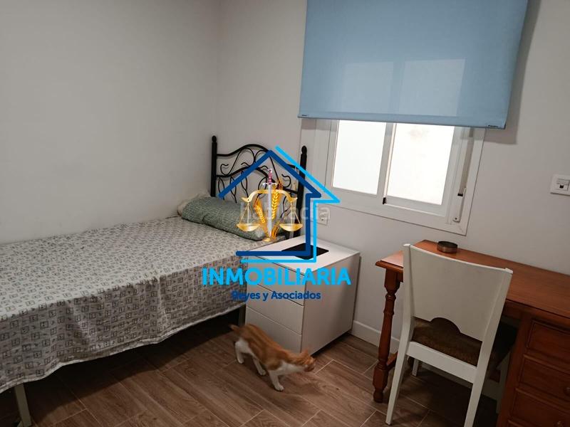 Foto cdf9e926-4eef-456a-8964-aea8e5a02503. Pis a Ciudad Jardín - Zoco Córdoba