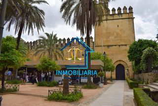 Pis a Casco Histórico  - Ribera - San Basilio. Hogar junto al alcázar de los reyes cristianos