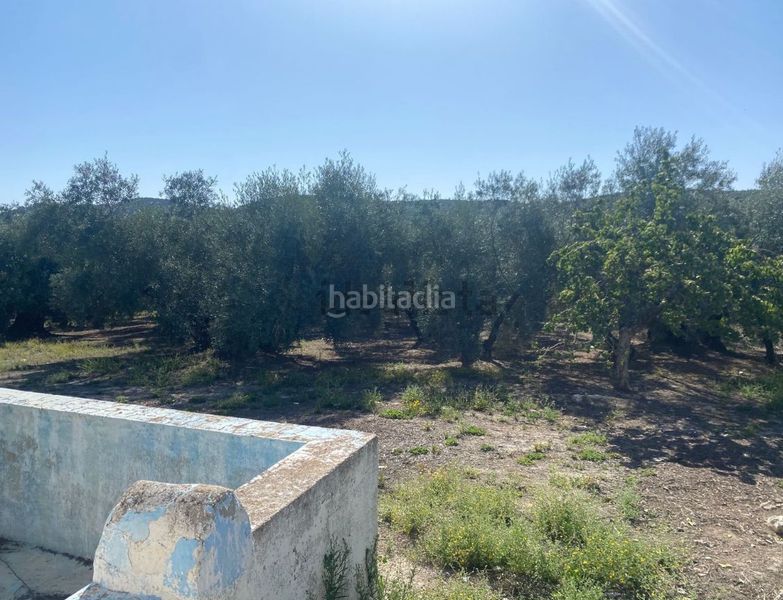 Foto 4c969393-a6a1-40bd-8bd6-94d5b098bab0. Terreny residencial a Poleares Lucena