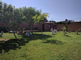 Chalet  Vereda de los paquitos. Increible chalet con piscina propia en dolores, alicante