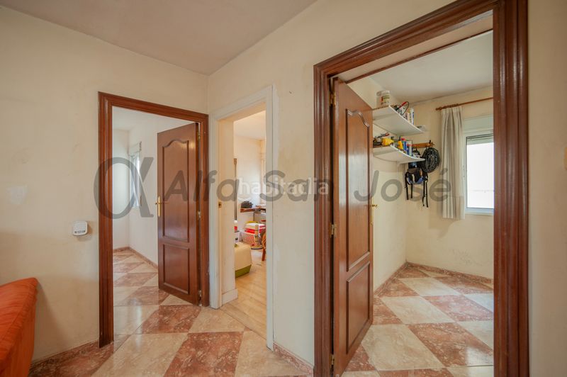 Foto dded1cfe-4c81-44e4-9a04-e3bba7855668. Pis a Tiro de Línea Sevilla