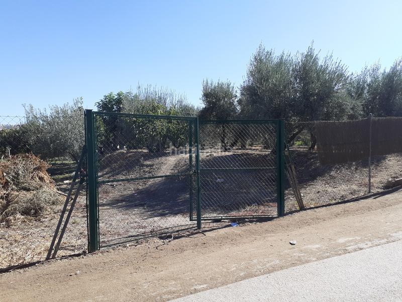 Foto ea622ea9-6c05-4a91-ab14-7c1feef96fd3. Fondo rustico in La Zubia Ciudad Zubia (La)