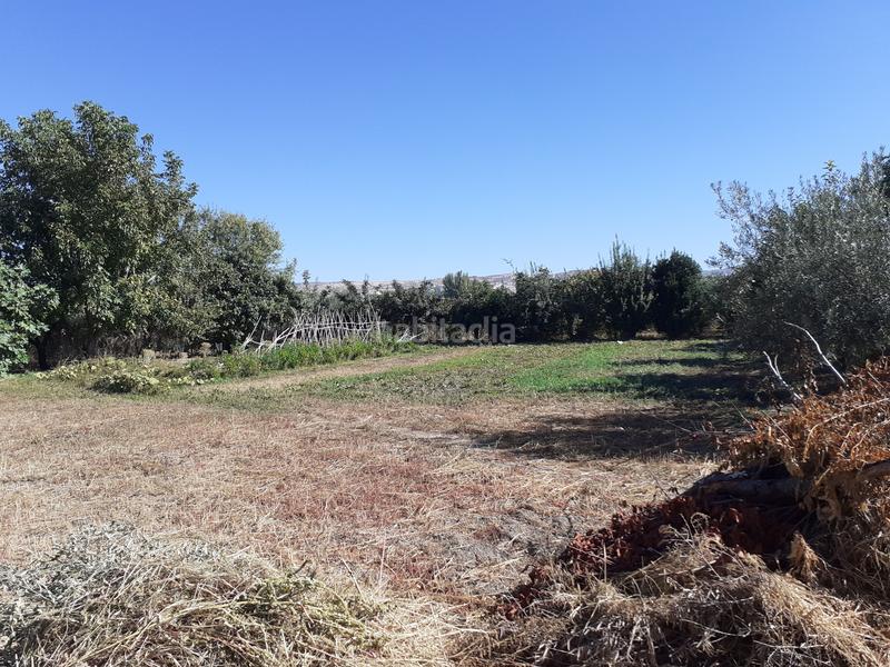 Foto 2a7629b3-1a78-4368-8dbf-ef28720e8b19. Finca rústica en La Zubia Ciudad Zubia (La)