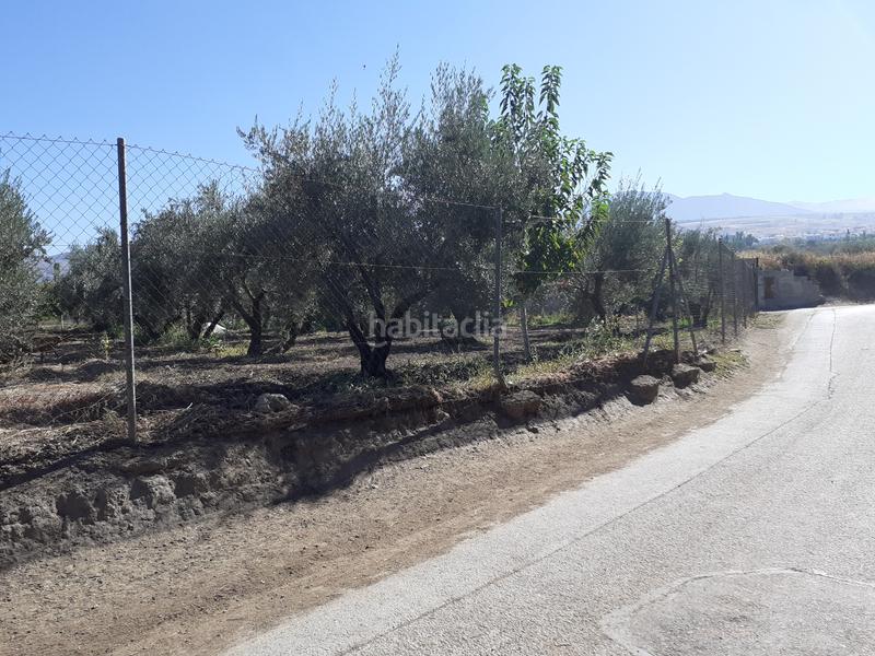 Foto 37d353c6-e302-4580-acd0-2e275d52b187. Finca rústica en La Zubia Ciudad Zubia (La)