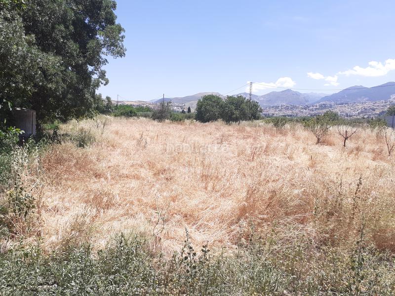 Foto 008c0b2c-8f6e-4b42-91a7-cdb5b83be713. Masía se vende cortijo en la zubia en Castaño - Mirasierra Granada