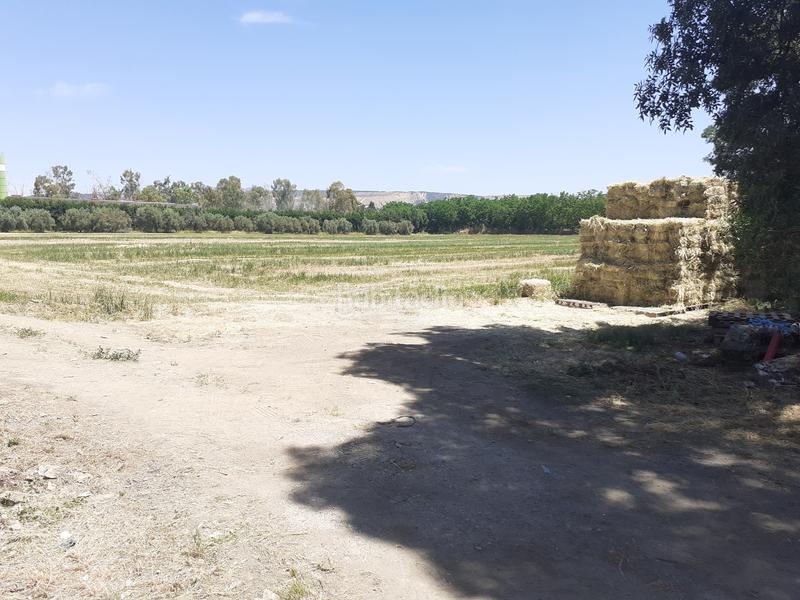 Foto a0f470cf-1e7e-453a-a88f-188194a49850. Masía se vende cortijo en la zubia en Castaño - Mirasierra Granada