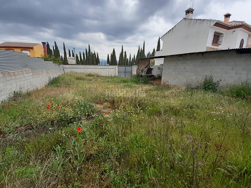 Foto 43a81b58-921a-40a4-b4b5-22986bc6a38a. Terreny residencial a La Zubia Ciudad Zubia (La)