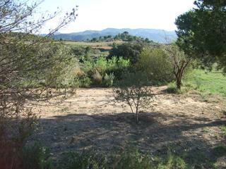 Wohngrundstück in Castellbisbal. Hermosa finca