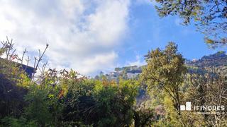 Terreno residencial en El Racó-Sant Feliu del Racó. Quieres comprar media montaña y vivir como un rey?