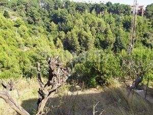 Foto 519a5adb-0662-4ddf-8470-5357ec04e8d6. Terreny residencial a Ullastrell