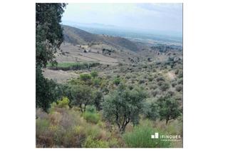 Finca rústica a Vilajuïga. Terreno de cultivo con 200 olivares y dos pozos