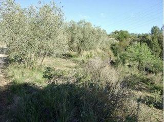 Wohngrundstück in Can segarra. Terreno junto camino principal con posibilidades