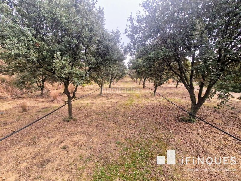 Foto 6a136715-d202-4505-8978-8828ea283c59. Finca rústica a El Racó-Sant Feliu del Racó Castellar del Vallès
