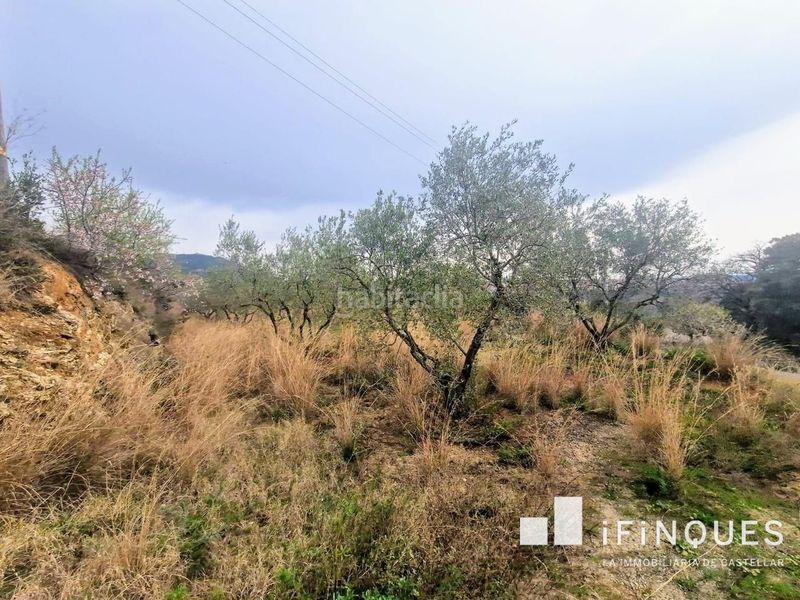Foto b380ff6a-51e5-45dd-bf76-d9a295f88491. Finca rústica a El Racó-Sant Feliu del Racó Castellar del Vallès