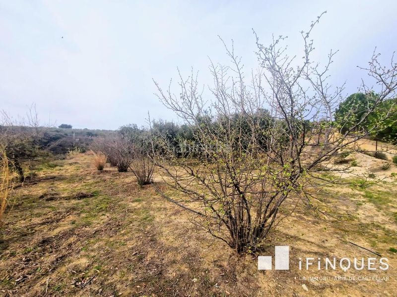 Foto f7195a47-24ee-4300-8b8b-1b24cd2afbde. Finca rústica a El Racó-Sant Feliu del Racó Castellar del Vallès