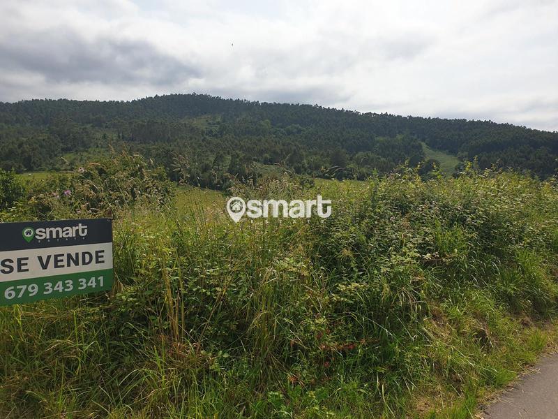 Foto 19724e74-4e3e-46aa-81cc-ac0c3973b090. Finca rústica a castiello a Selorio - Tornón Villaviciosa