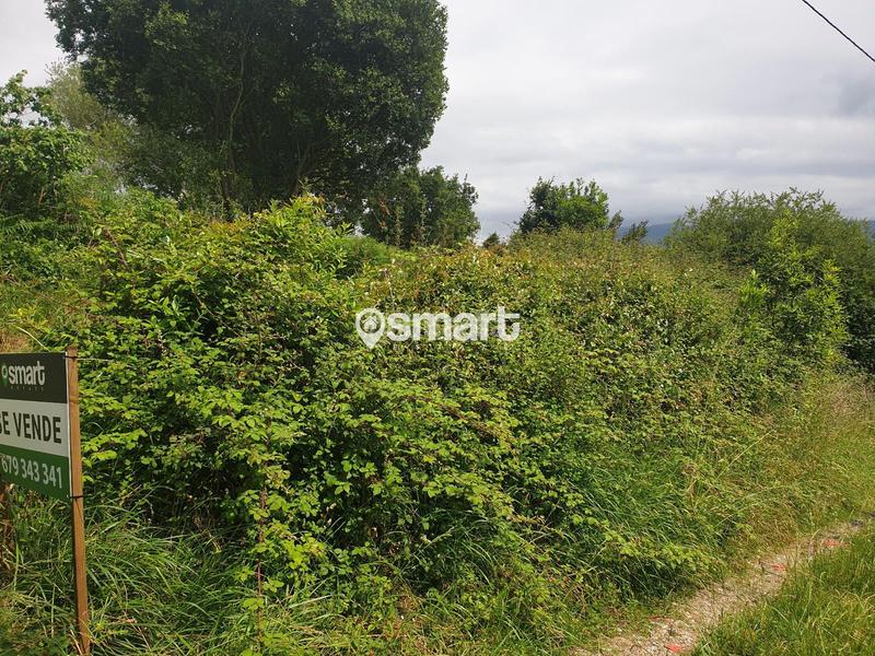 Foto 19bf7182-8a58-47ac-8c53-3c72067cc0be. Finca rústica a castiello a Selorio - Tornón Villaviciosa