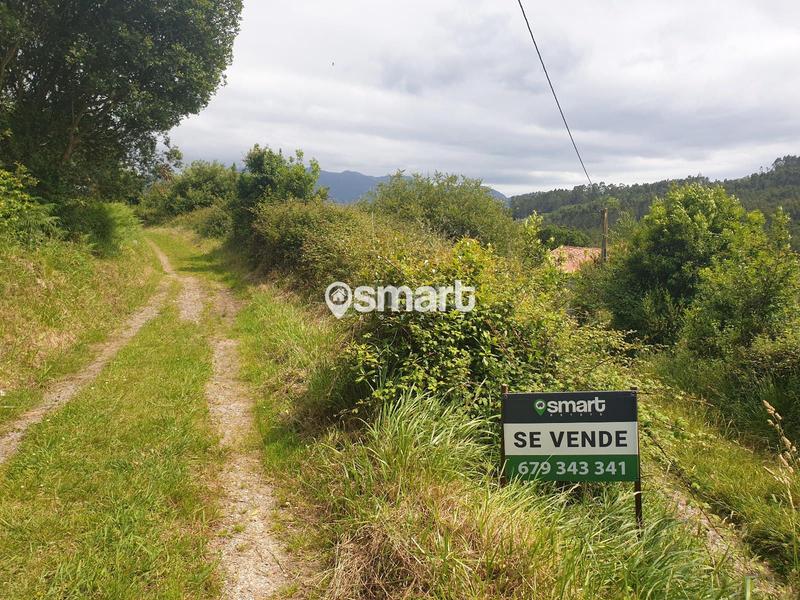 Foto 1edd46d5-cfad-4820-9a06-924537990b79. Finca rústica a castiello a Selorio - Tornón Villaviciosa