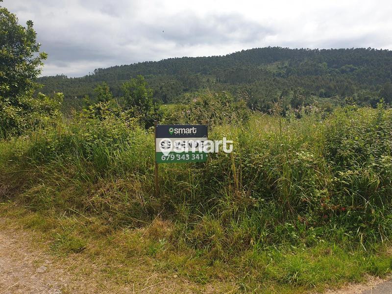 Foto 4dc5bf35-aa60-4c6f-bb5c-2d8632b0ab3e. Finca rústica a castiello a Selorio - Tornón Villaviciosa