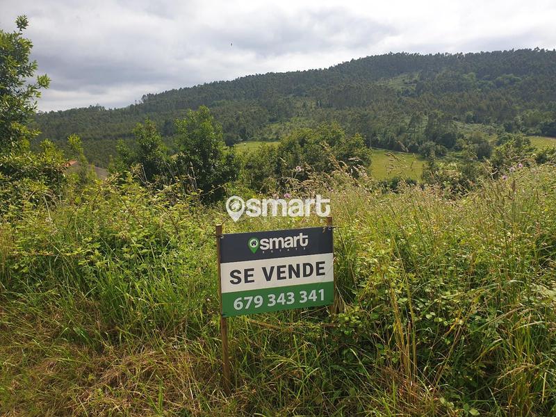 Foto 9f96e8cc-604f-4373-bbca-e19ef1d3c803. Finca rústica a castiello a Selorio - Tornón Villaviciosa