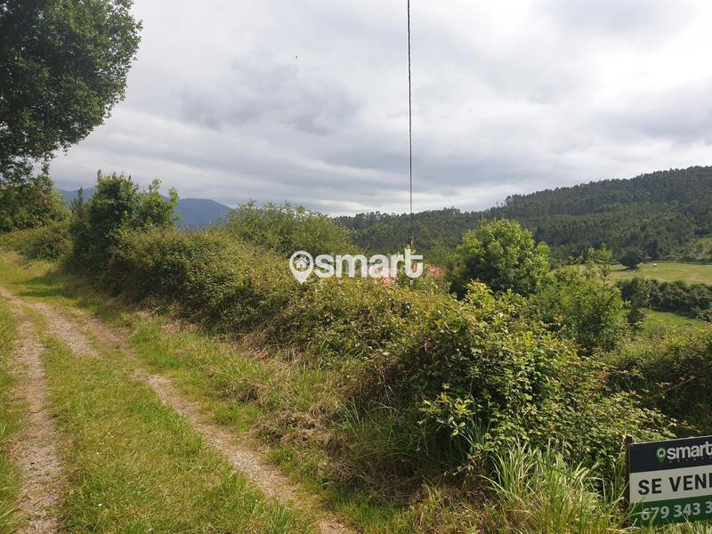 Foto a9e63e17-f819-45ac-82a7-1e0d31de3fda. Finca rústica a castiello a Selorio - Tornón Villaviciosa