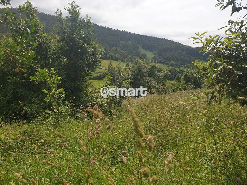 Foto b0d65e84-4d96-49c5-b90c-9dfd963afa87. Finca rústica a castiello a Selorio - Tornón Villaviciosa