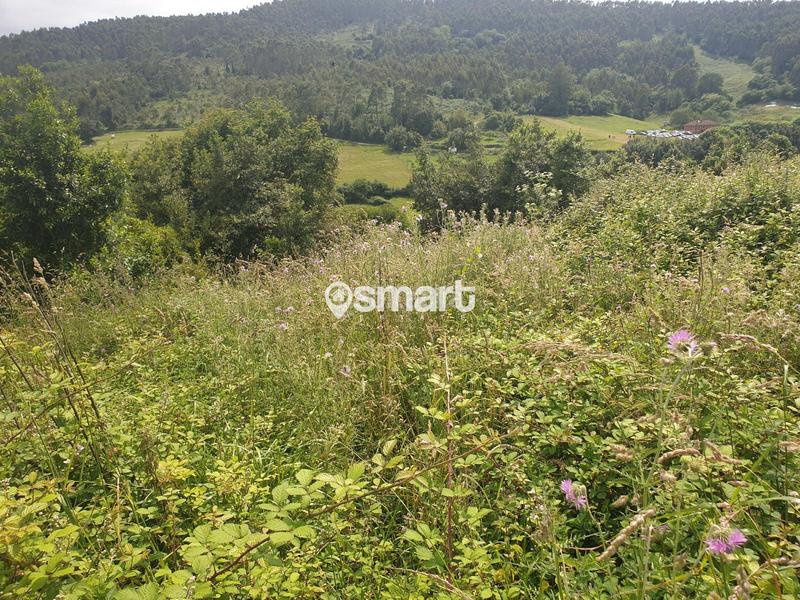 Foto b7eb721a-e866-4185-bf31-0e071c0f5499. Finca rústica a castiello a Selorio - Tornón Villaviciosa