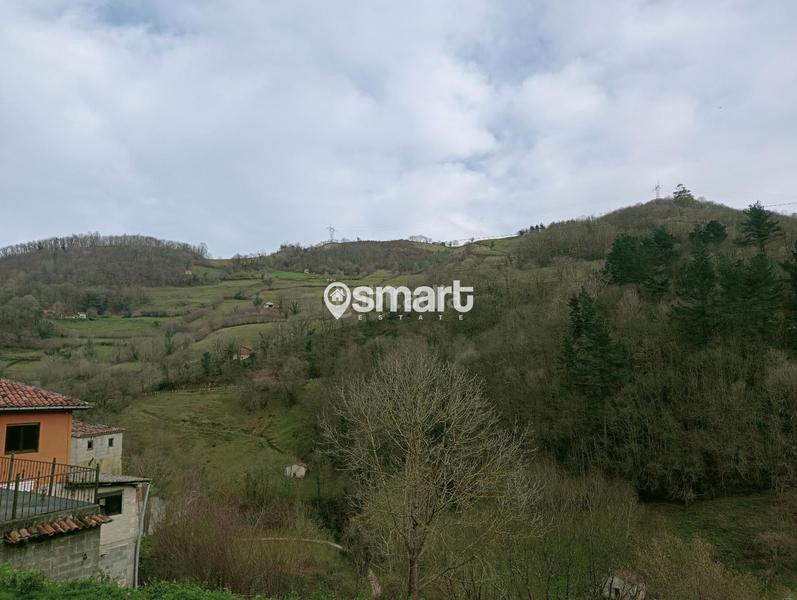 Foto 503a8cc9-a54d-4d02-9550-1341e5b63741. Haus in Riosa