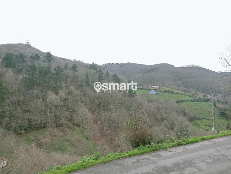 Foto 898ec842-7e8b-47a6-b1f6-22c2630523d0. Haus in Riosa