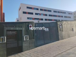 Pis  Fotógrafo fachico rojas fariñas. En las palmas de gran canaria