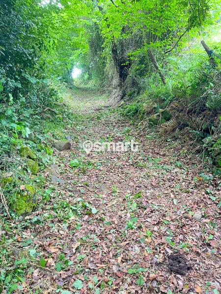 Foto ed4e4ed6-4e11-40b9-afe4-09b15d828a14. Propriété dans Illas