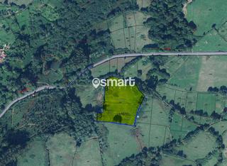Propriété  N/a. Lote parcelas en candamo 20.058 m2