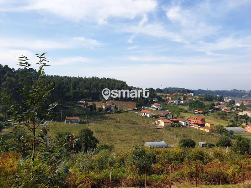 Foto 1cd94f2c-509f-4e52-bc26-4a99723b1667. Finca rústica a Coto Carcedo Castrillón