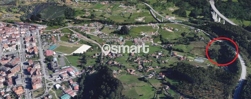 Foto 297f9463-bdc8-4741-a67e-4a181db759fb. Finca rústica a Coto Carcedo Castrillón