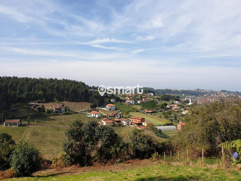 Foto 768030b9-d53c-48f1-8e4b-6d9b12099f09. Finca rústica a Coto Carcedo Castrillón