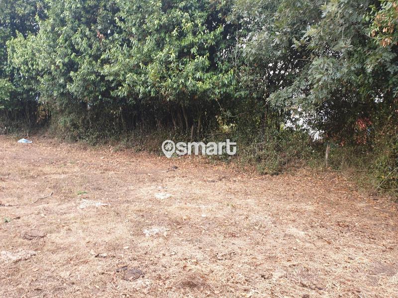 Foto 221ab12b-db17-4bc5-8f32-ff20b27e81d1. Finca rústica a Grado