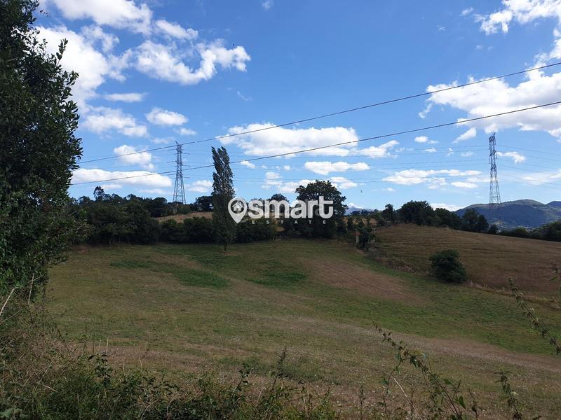 Foto 5fddffc3-fca1-4e87-9907-1b010054c3f0. Finca rústica a Grado