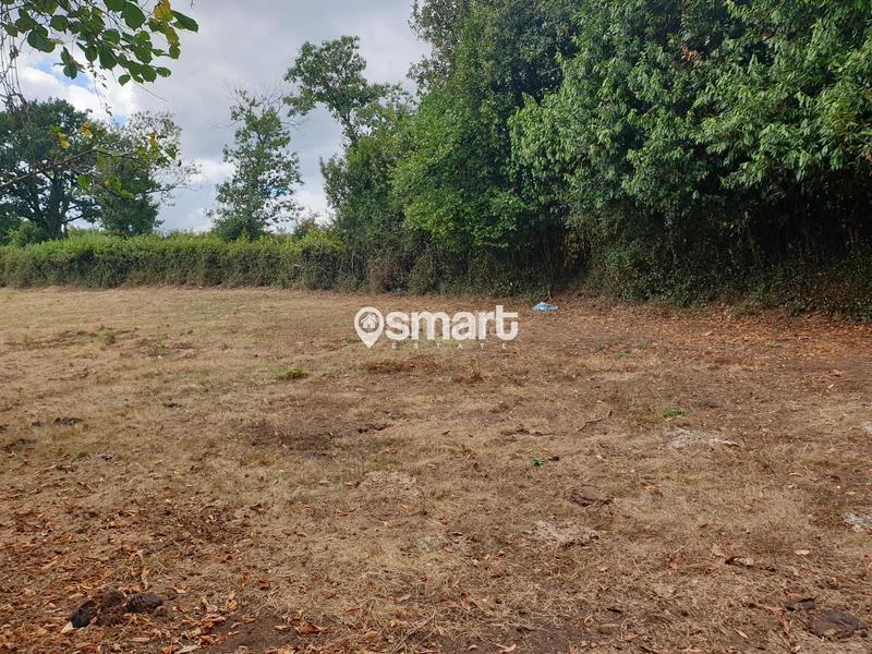 Foto 9fd56835-7fa8-431a-9e30-5e686f013495. Finca rústica a Grado