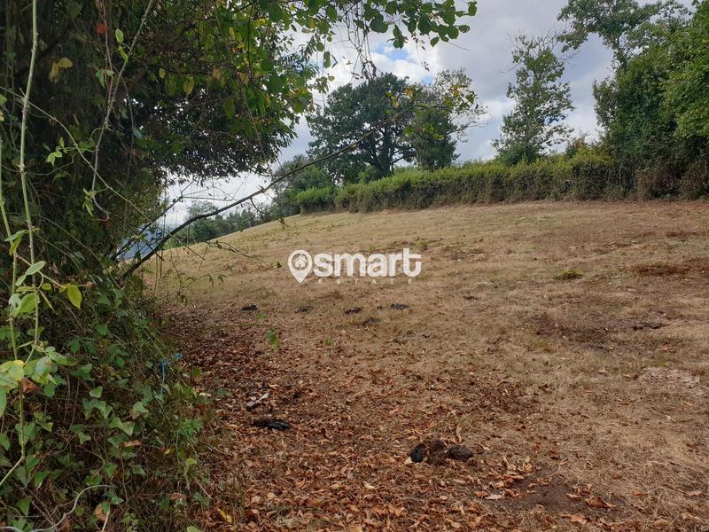 Foto ade02489-c71e-4409-9a9b-167b348f71c3. Finca rústica a Grado