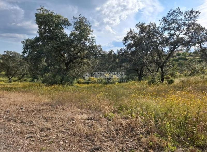 Foto 56ba5787-061c-48a2-ba2b-70c55c7c6045. Masia a Los Lagos Guillena