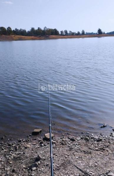 Foto 976f8166-28da-45e0-85a7-623844b964ba. Masia a Los Lagos Guillena