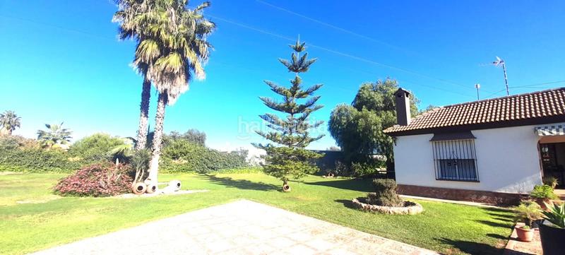 Foto 5115d3ae-6fb7-4382-932a-0b945bdea3cb. Masía casa rural en venta en Coria del Río