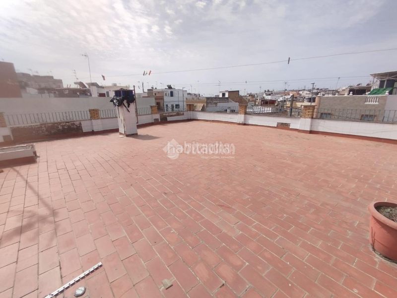 Foto a57ca196-6600-4e17-b6f1-ac25e634651a. Pis a Coria del Río