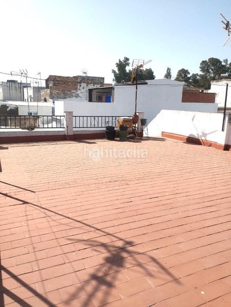 Foto 6c088a69-da76-4b5f-87ab-c1ce803c58e1. Pis a Coria del Río