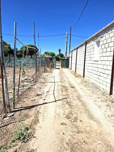 Foto 27e138ba-0350-4e64-b3d1-0e353777522e. Masia a Almensilla