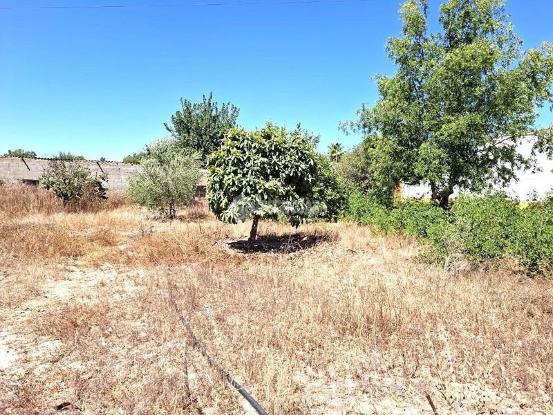 Foto 2f5cb386-1277-43ff-8ebb-2aad60099470. Masia a Almensilla