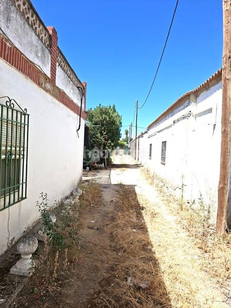 Foto 52f8a924-8ece-4e1f-9fe6-7721b4a98f20. Masia a Almensilla